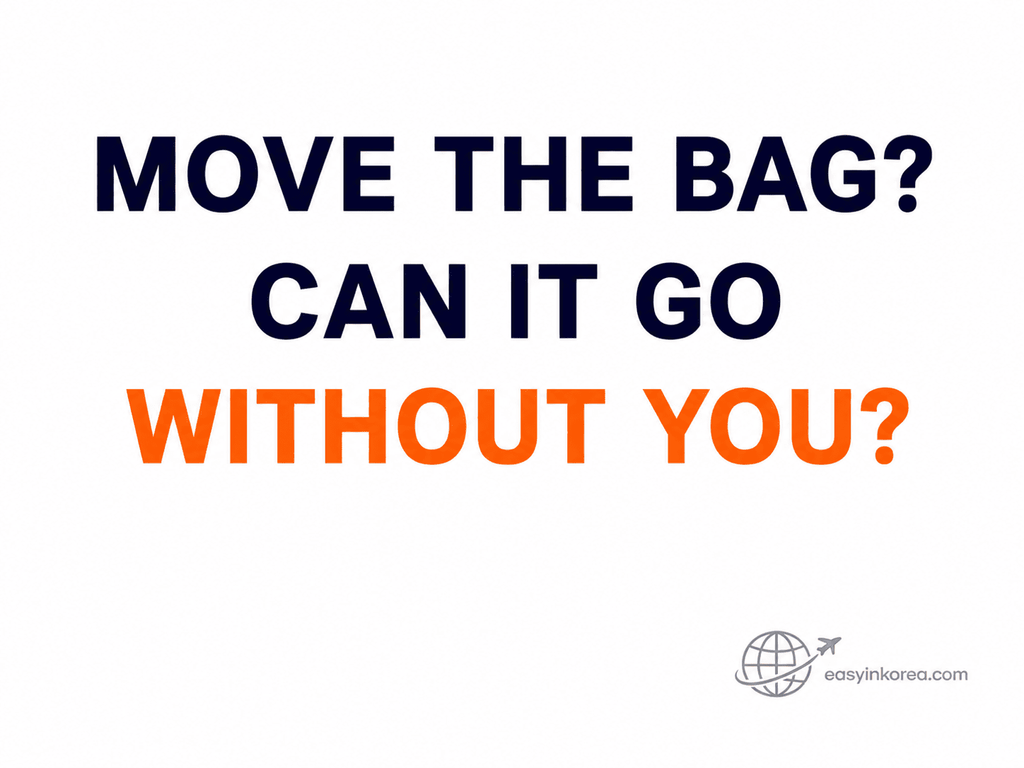 Gangnam to Incheon Airport with Heavy Luggage decision image asking whether the bag can travel without the traveler