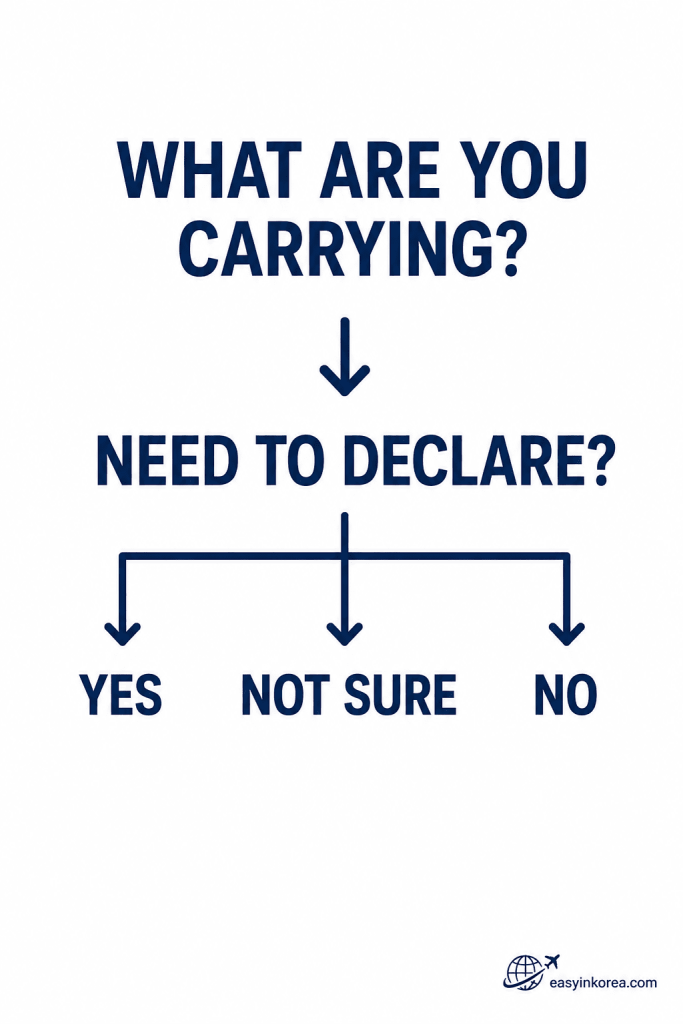 Customs decision guide showing declare, nothing to declare, or ask customs when unsure