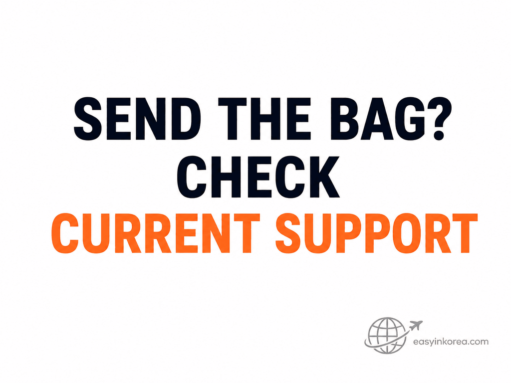 Myeongdong to Incheon Airport with heavy luggage checking current luggage delivery support